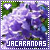 Jacarandá fanlisting